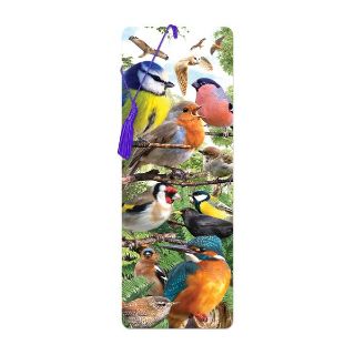 Obrázek z Záložka 3D 15,5x5,7cm - ptáčci (25) 